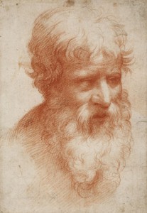Parmigianino: "Bärtiger Männerkopf"