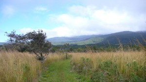 Die Trockenwaldregion von Guanacaste