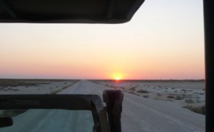 Sonnenaufgang im Etosha-Naturpark