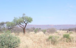 Der Waterberg aus der Ferne