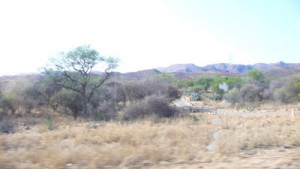 Erste Eindrücke von Namibia auf der Fahrt nach Windhoek