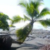 Blick aus dem Regenwald auf den Strand