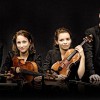 Martin Funda, Violine
Johanna Staemmler, Violine
Teresa Schwamm, Viola
Peter-Philipp Staemmler, Violoncello