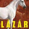 2509_lazar