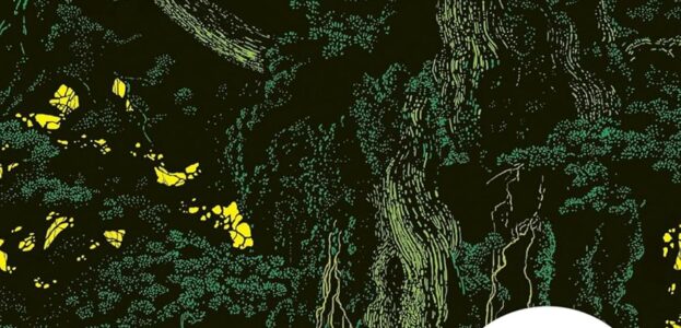 Cover Holländerinnen