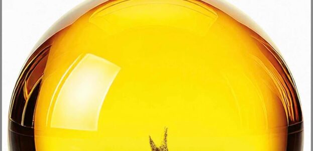 Cover Haus zur Sonne